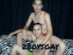 2BOYS_GAY