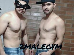2MALEGYM