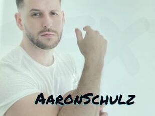 AaronSchulz