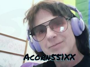 Acorn551XX