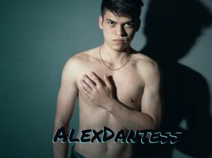 AlexDantess