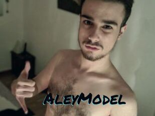 AleyModel