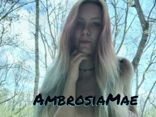 AmbrosiaMae