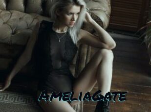 AmeliaGate