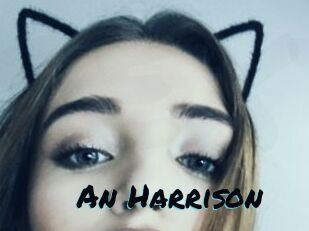 An_Harrison