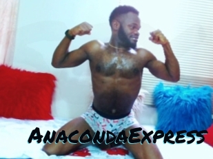 AnacondaExpress