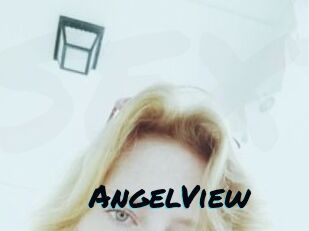 AngelView