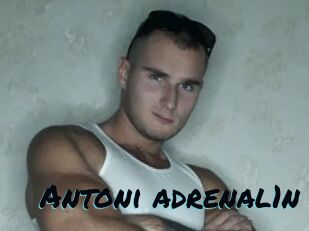 Antoni_adrenal1n