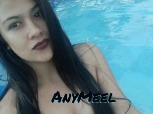 AnyMeel