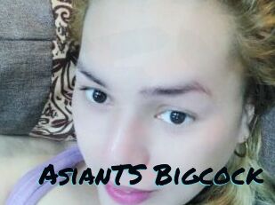 AsianTS_Bigcock