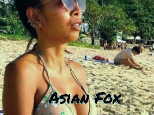 Asian_Fox