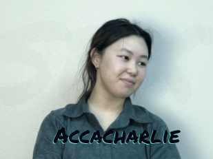 Accacharlie