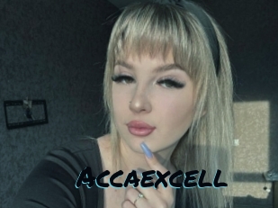 Accaexcell