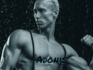 Adonis