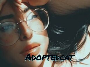 Adoptedcat