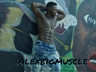 Alexbigmuscle