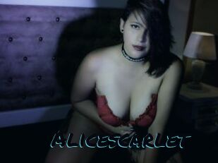 Alicescarlet