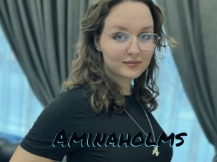 Aminaholms