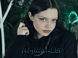 Aminaklep