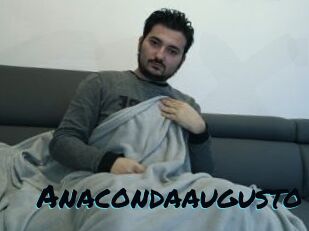 Anacondaaugusto