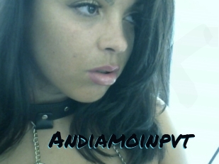 Andiamoinpvt