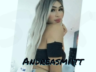 Andreasmiitt