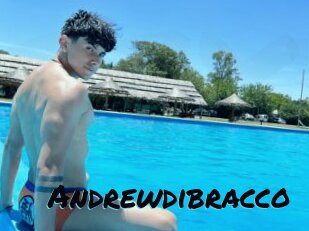 Andrewdibracco