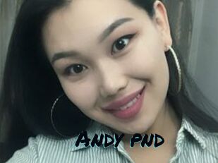 Andy_pnd