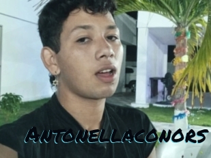 Antonellaconors