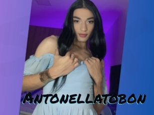 Antonellatobon