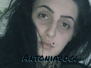 Antoniabogi