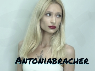 Antoniabracher