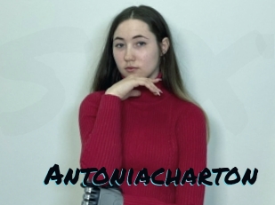 Antoniacharton