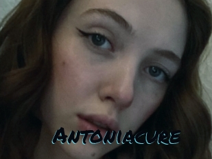 Antoniacure