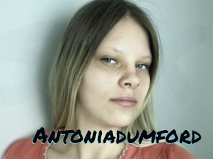 Antoniadumford