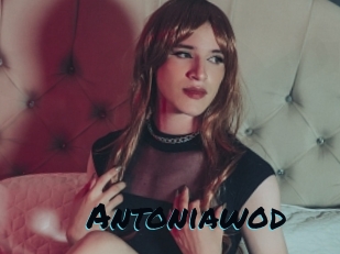 Antoniawod