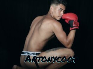 Antonycoot