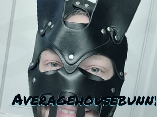 Averagehousebunny