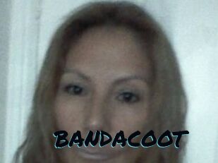 BANDACOOT