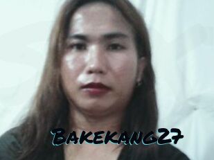 Bakekang27