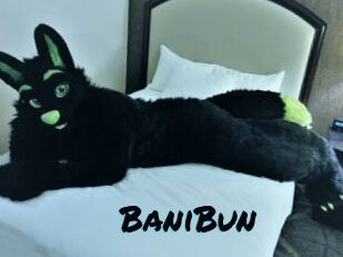 BaniBun