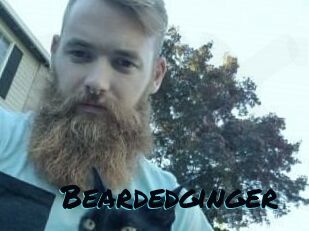 Beardedginger