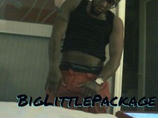 BigLittlePackage