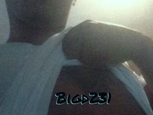 Bigd231