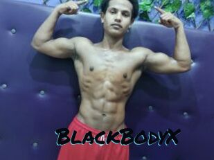 BlackBodyX