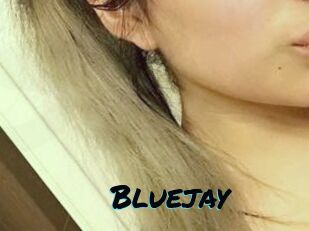 Blue_jay