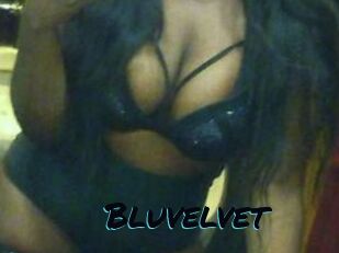 Bluvelvet