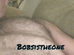 Bobsistheone