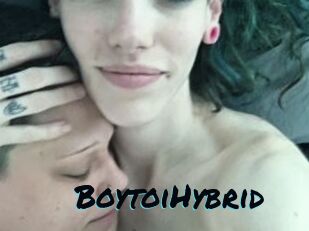 BoytoiHybrid