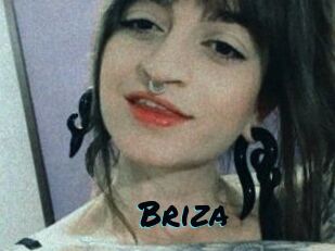 Briza